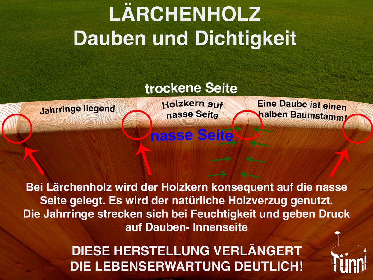 Qualitätsmerkmale Lärchenholz Daube